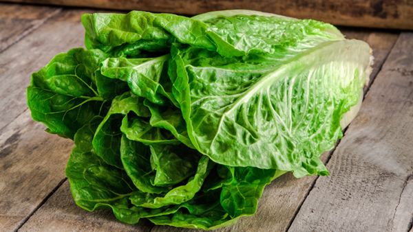 Romaine Lettuce