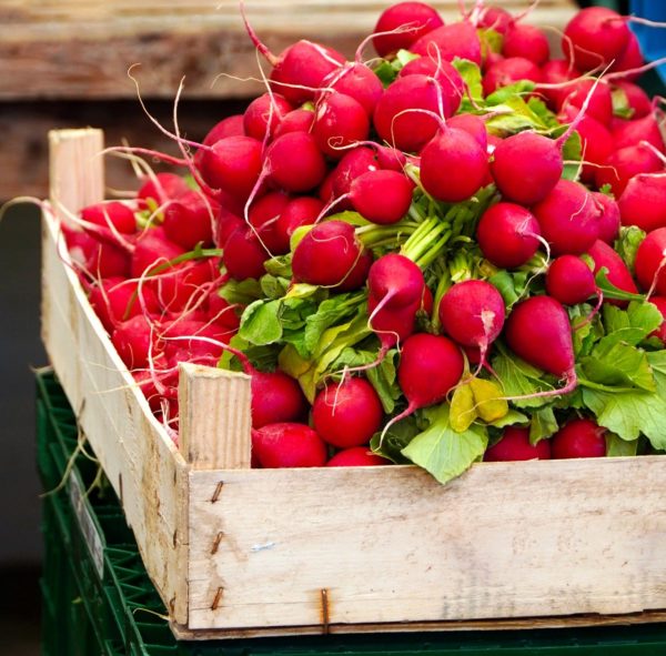 radishes, vegetables, food