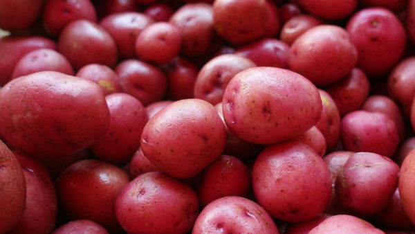 Red Potatoes