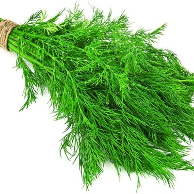 Dill